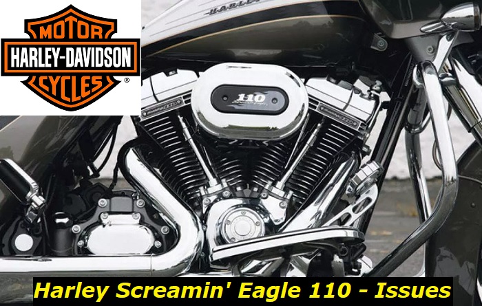 Harley Screamin Eagle 110 problems